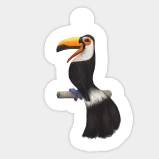 Toco Toucan Sticker